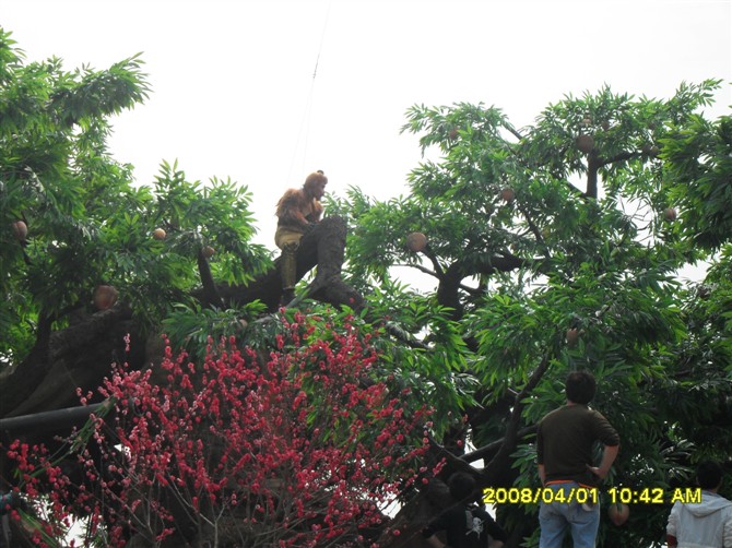 成都仿真假樹(shù) 成都仿真假樹(shù)