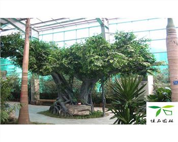 佳石園林景觀：成都仿真假樹雖假勝真