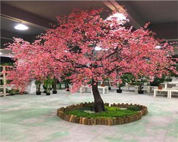 成都仿真假樹制作的要點(diǎn)都有哪些呢？